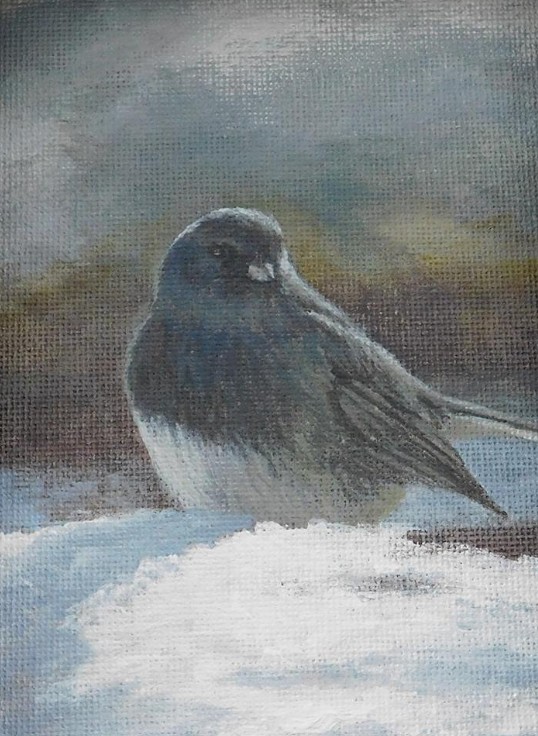 Bird