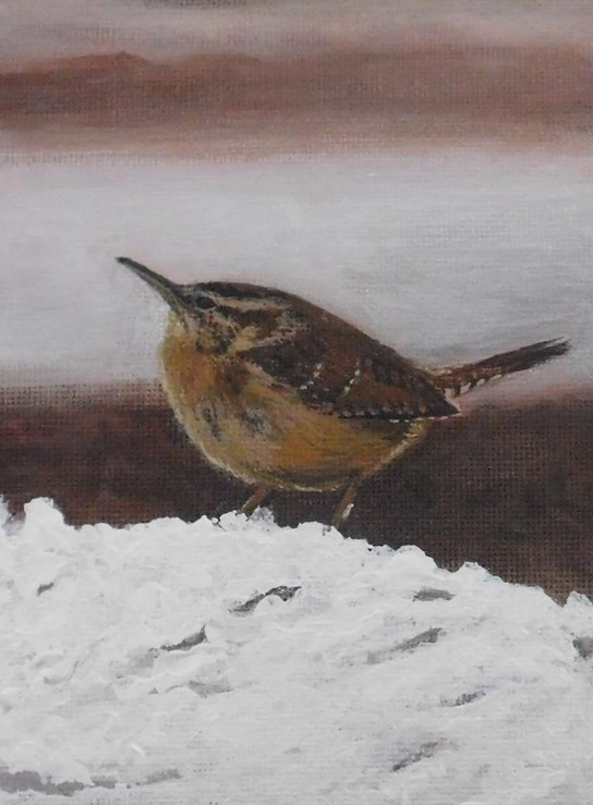 Finch