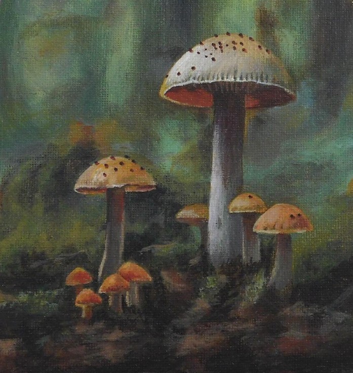 Mushrooms