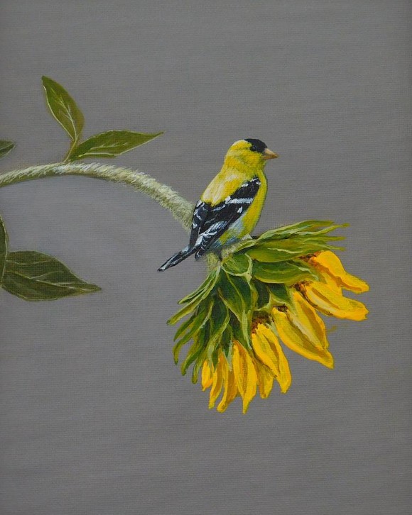 Sunflower & Bird