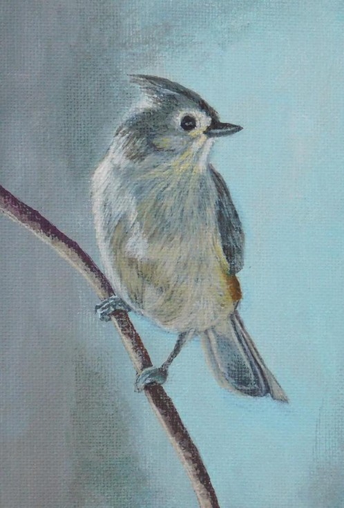 Titmouse